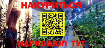 трава Камышлов